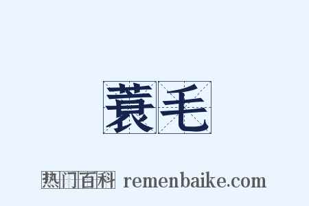 蓑毛是什么意思的图片